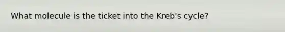 What molecule is the ticket into the Kreb's cycle?