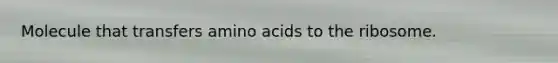 Molecule that transfers amino acids to the ribosome.