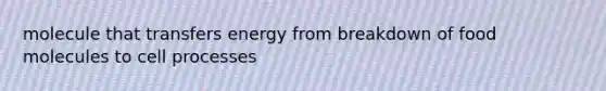 molecule that transfers energy from breakdown of food molecules to cell processes