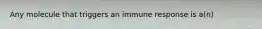 Any molecule that triggers an immune response is a(n)