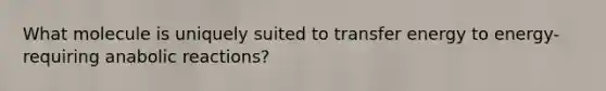 What molecule is uniquely suited to transfer energy to energy-requiring anabolic reactions?