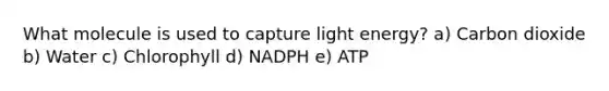 What molecule is used to capture light energy? a) Carbon dioxide b) Water c) Chlorophyll d) NADPH e) ATP