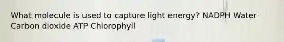 What molecule is used to capture light energy? NADPH Water Carbon dioxide ATP Chlorophyll