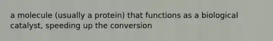 a molecule (usually a protein) that functions as a biological catalyst, speeding up the conversion