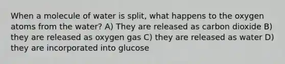 When a molecule of water is split, what happens to the oxygen atoms from the water? A) They are released as carbon dioxide B) they are released as oxygen gas C) they are released as water D) they are incorporated into glucose