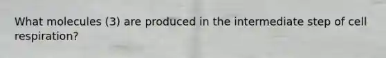 What molecules (3) are produced in the intermediate step of cell respiration?