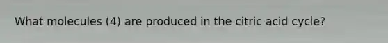 What molecules (4) are produced in the citric acid cycle?