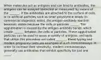 When molecules act as antigens and can bind to antibodies, the antigens can be assayed (detected an measured) by means of the _______. If the antibodies are attached to the surface of cells, or to artificial particles such as small polystyrene beads (in commercial diagnostic tests), the antigen-antibody reaction becomes visible because the cells or particles ______. The agglutination is caused by the antigen-antibody bonds, which create _______ between the cells or particles. These agglutinated particles can be used to assay a variety of antigens, and tests that utilize this procedure are called _______. Blood typing and modern pregnancy tests are examples of such immunoassays. In order to increase their sensitivity, modern immunoassays generally use antibodies that exhibit specificity for just one _____-