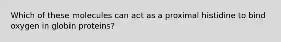 Which of these molecules can act as a proximal histidine to bind oxygen in globin proteins?