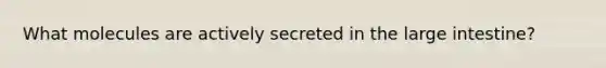 What molecules are actively secreted in the large intestine?