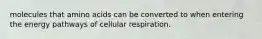 molecules that amino acids can be converted to when entering the energy pathways of cellular respiration.