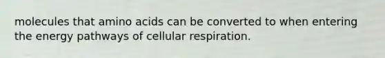 molecules that <a href='https://www.questionai.com/knowledge/k9gb720LCl-amino-acids' class='anchor-knowledge'>amino acids</a> can be converted to when entering the energy pathways of <a href='https://www.questionai.com/knowledge/k1IqNYBAJw-cellular-respiration' class='anchor-knowledge'>cellular respiration</a>.