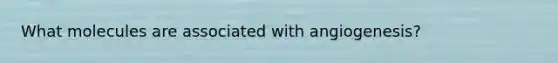 What molecules are associated with angiogenesis?