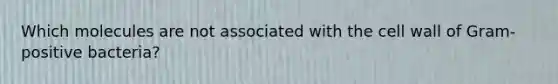 Which molecules are not associated with the cell wall of Gram-positive bacteria?