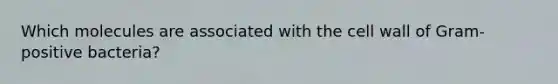 Which molecules are associated with the cell wall of Gram-positive bacteria?