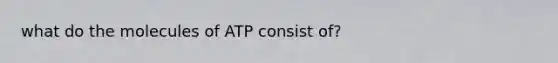 what do the molecules of ATP consist of?