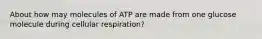 About how may molecules of ATP are made from one glucose molecule during cellular respiration?