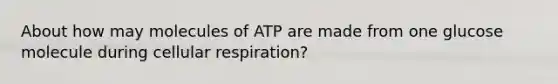 About how may molecules of ATP are made from one glucose molecule during cellular respiration?