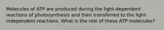 Molecules of ATP are produced during the light-dependent reactions of photosynthesis and then transferred to the light-independent reactions. What is the role of these ATP molecules?