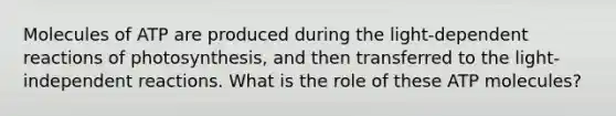 Molecules of ATP are produced during the light-dependent reactions of photosynthesis, and then transferred to the light-independent reactions. What is the role of these ATP molecules?