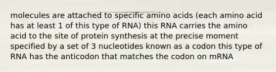 molecules are attached to specific amino acids (each amino acid has at least 1 of this type of RNA) this RNA carries the amino acid to the site of protein synthesis at the precise moment specified by a set of 3 nucleotides known as a codon this type of RNA has the anticodon that matches the codon on mRNA