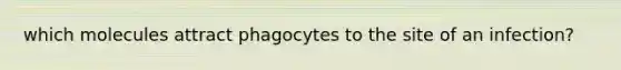 which molecules attract phagocytes to the site of an infection?