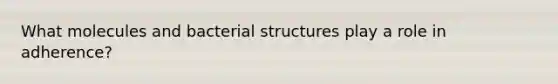 What molecules and bacterial structures play a role in adherence?
