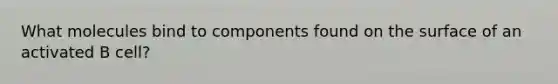 What molecules bind to components found on the surface of an activated B cell?
