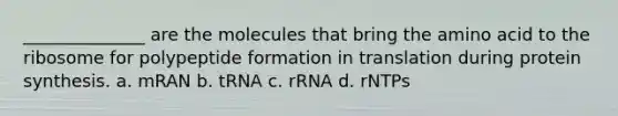 ______________ are the molecules that bring the amino acid to the ribosome for polypeptide formation in translation during <a href='https://www.questionai.com/knowledge/kVyphSdCnD-protein-synthesis' class='anchor-knowledge'>protein synthesis</a>. a. mRAN b. tRNA c. rRNA d. rNTPs