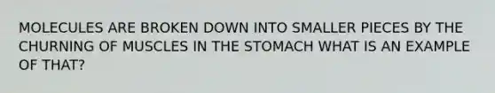 MOLECULES ARE BROKEN DOWN INTO SMALLER PIECES BY THE CHURNING OF MUSCLES IN THE STOMACH WHAT IS AN EXAMPLE OF THAT?