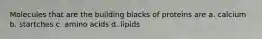 Molecules that are the building blacks of proteins are a. calcium b. startches c. amino acids d. lipids