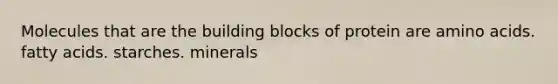 Molecules that are the building blocks of protein are amino acids. fatty acids. starches. minerals