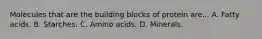 Molecules that are the building blocks of protein are... A. Fatty acids. B. Starches. C. Amino acids. D. Minerals.