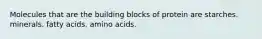 Molecules that are the building blocks of protein are starches. minerals. fatty acids. amino acids.