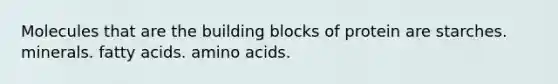 Molecules that are the building blocks of protein are starches. minerals. fatty acids. amino acids.