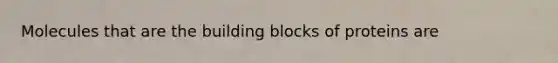 Molecules that are the building blocks of proteins are