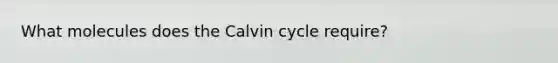 What molecules does the Calvin cycle require?