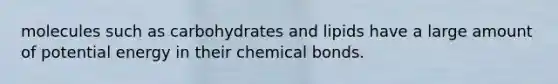 molecules such as carbohydrates and lipids have a large amount of potential energy in their chemical bonds.