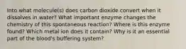 Into what molecule(s) does carbon dioxide convert when it dissolves in water? What important enzyme changes the chemistry of this spontaneous reaction? Where is this enzyme found? Which metal ion does it contain? Why is it an essential part of the blood's buffering system?