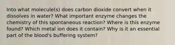 Into what molecule(s) does carbon dioxide convert when it dissolves in water? What important enzyme changes the chemistry of this spontaneous reaction? Where is this enzyme found? Which metal ion does it contain? Why is it an essential part of the blood's buffering system?