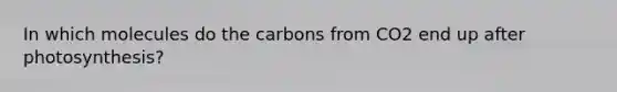 In which molecules do the carbons from CO2 end up after photosynthesis?