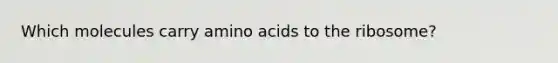 Which molecules carry <a href='https://www.questionai.com/knowledge/k9gb720LCl-amino-acids' class='anchor-knowledge'>amino acids</a> to the ribosome?