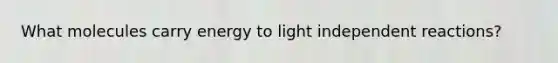 What molecules carry energy to light independent reactions?