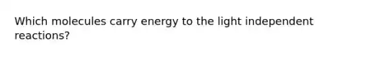 Which molecules carry energy to the light independent reactions?