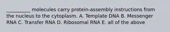 __________ molecules carry protein-assembly instructions from the nucleus to the cytoplasm. A. Template DNA B. Messenger RNA C. Transfer RNA D. Ribosomal RNA E. all of the above