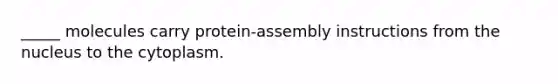 _____ molecules carry protein-assembly instructions from the nucleus to the cytoplasm.