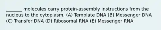 _______ molecules carry protein-assembly instructions from the nucleus to the cytoplasm. (A) Template DNA (B) Messenger DNA (C) Transfer DNA (D) Ribosomal RNA (E) Messenger RNA