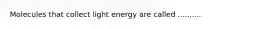 Molecules that collect light energy are called ..........