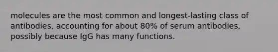 molecules are the most common and longest-lasting class of antibodies, accounting for about 80% of serum antibodies, possibly because IgG has many functions.