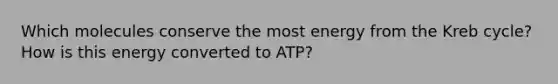 Which molecules conserve the most energy from the Kreb cycle? How is this energy converted to ATP?